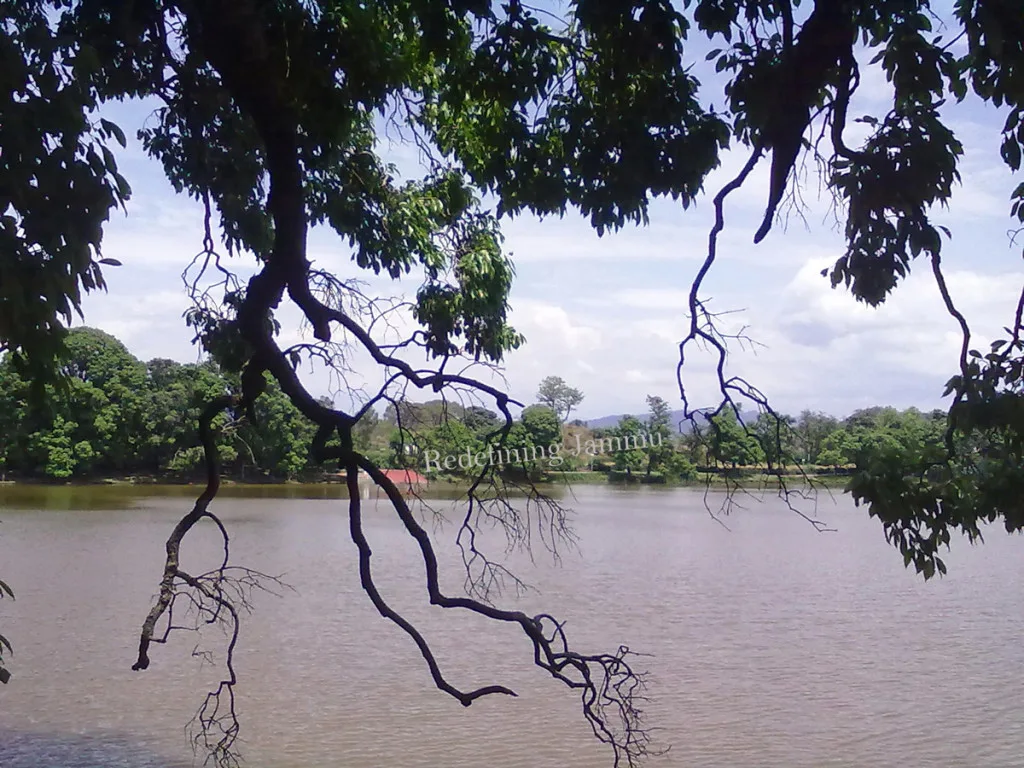Surinsar Lake with lotus blooms and forested hills, Jammu