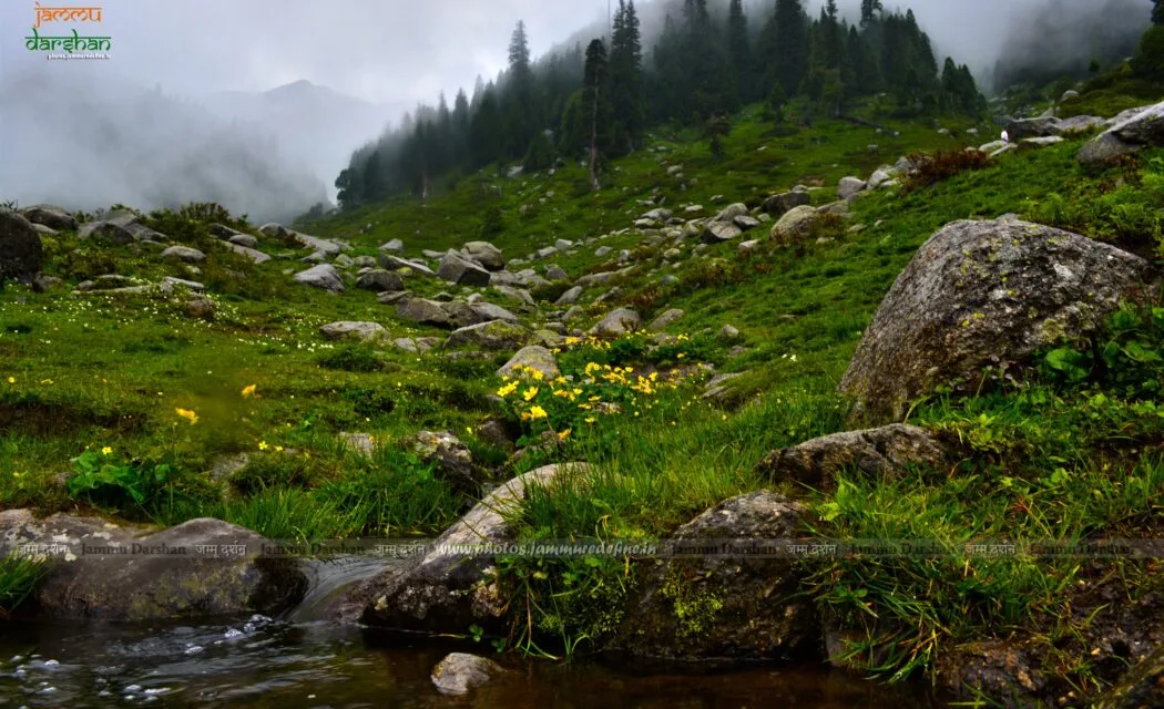 Chhatergala Pass mist and rain, Bhaderwah