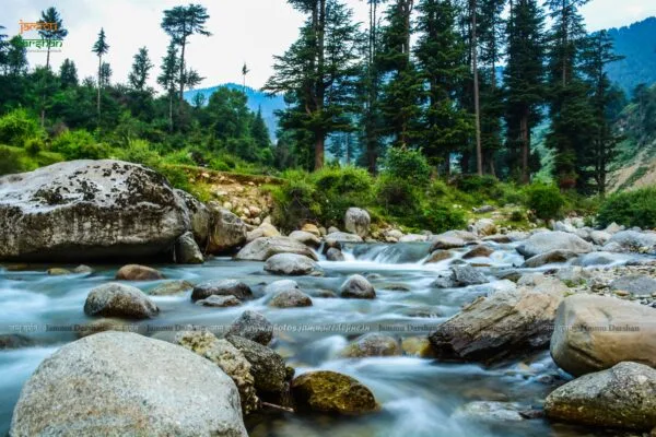 Nalthi park meadow on Bhaderwah–Chamba road