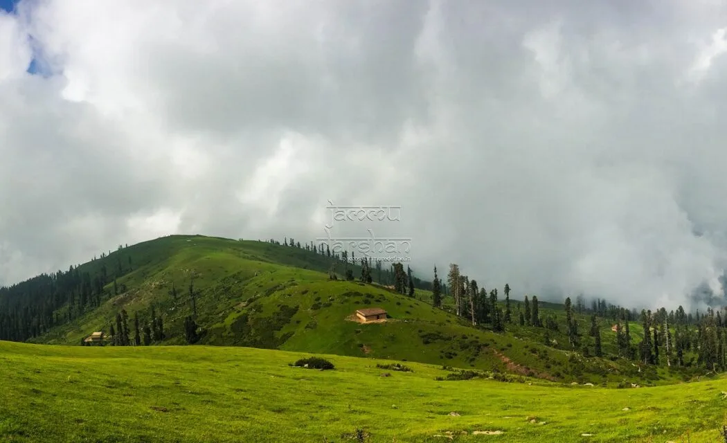 Himalayan ridge path on Shankhpal Trek near Sanasar